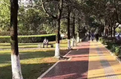 城市道路