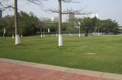 公園